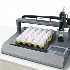 Kip Ei Codering Machine Datum Logo Patroon